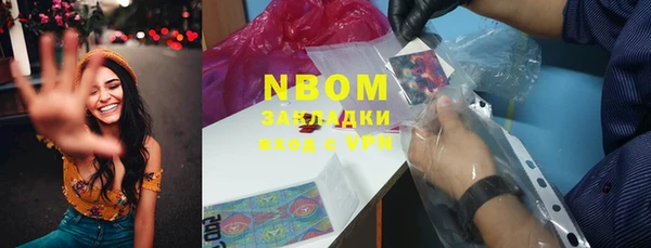 PSILOCYBIN Алзамай