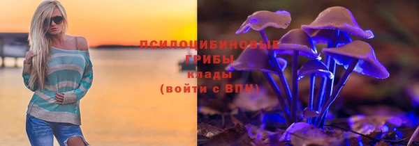 PSILOCYBIN Алзамай