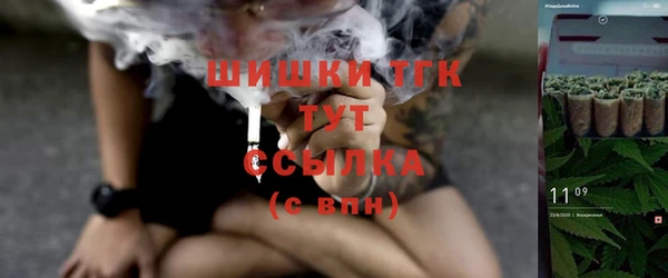 PSILOCYBIN Алзамай