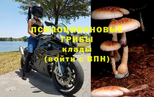PSILOCYBIN Алзамай