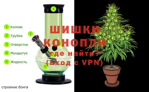гидра Алексеевка