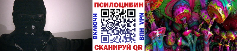 это телеграм  Ермолино  Псилоцибиновые грибы GOLDEN TEACHER 